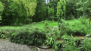 Photo 17- click for photo gallery